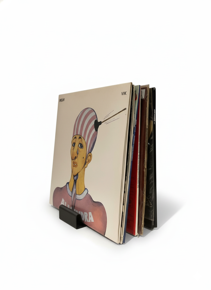 Soporte Vinilos